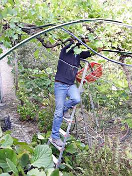 08 2019-09-21 at 20.42.19.JPG